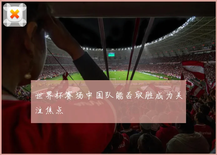 世界杯赛场中国队能否取胜成为关注焦点