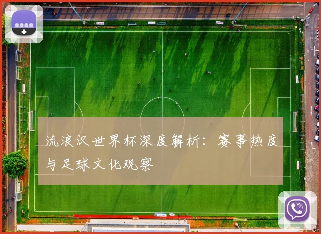 流浪汉世界杯深度解析：赛事热度与足球文化观察