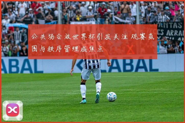 公共场合放世界杯引发关注 观赛氛围与秩序管理成焦点