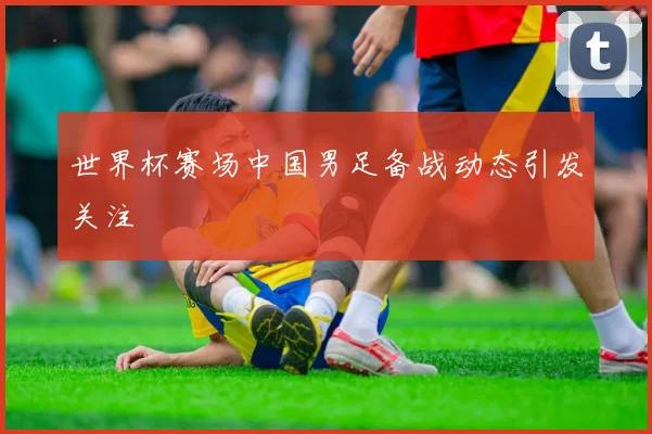 世界杯赛场中国男足备战动态引发关注