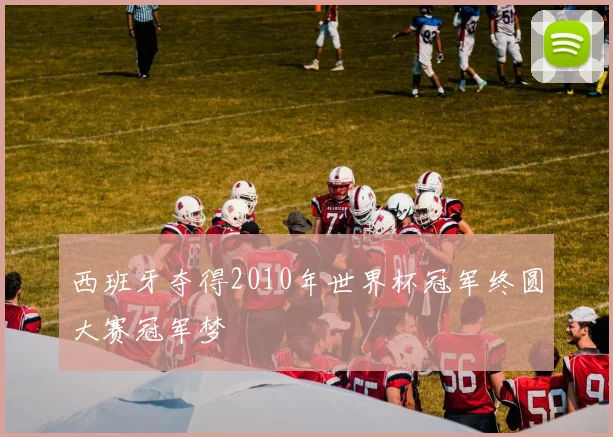 西班牙夺得2010年世界杯冠军终圆大赛冠军梦