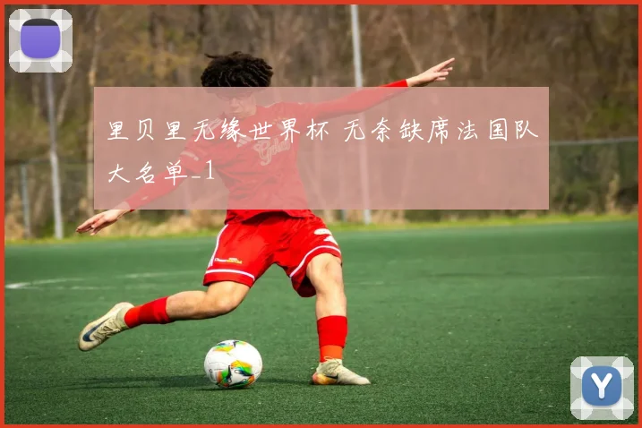 里贝里无缘世界杯 无奈缺席法国队大名单_1